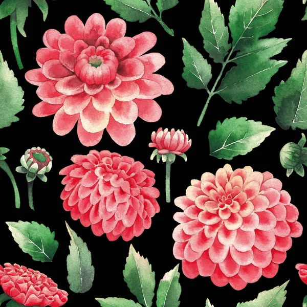 Μοτίβο υδατογραφιας της Ντάλια λουλούδια και φύλλα — Φωτογραφία Αρχείου