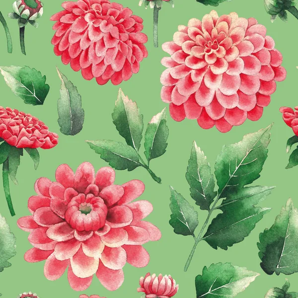 Akwarela wzór Dahlia kwiatów i liści — Zdjęcie stockowe
