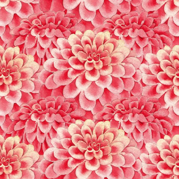 Watercolor pattern of pink dahlia scaled flowers — Stock Photo, Image
