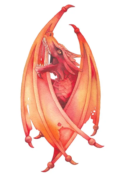 Roaring watercolor dragon with closed wings in red colors. — Stock Photo, Image