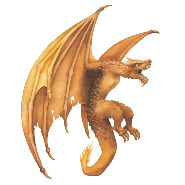 Летающий акварельный дракон в золотых тонах в боковом виде . — стоковое фото