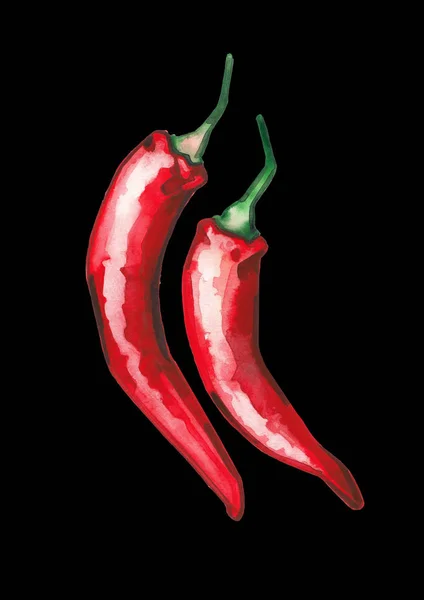 Két akvarell chili paprika izolált fehér háttér — Stock Fotó