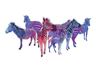 Kaba fırça tekniğiyle çizilen ayakta zebra sürü