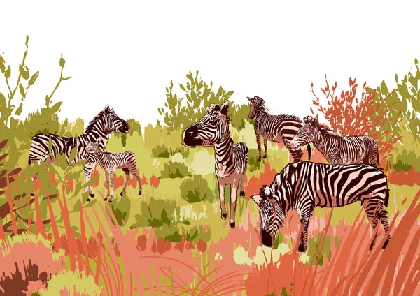 Стадо зебр, сеющих в степи ландшафт — стоковый вектор