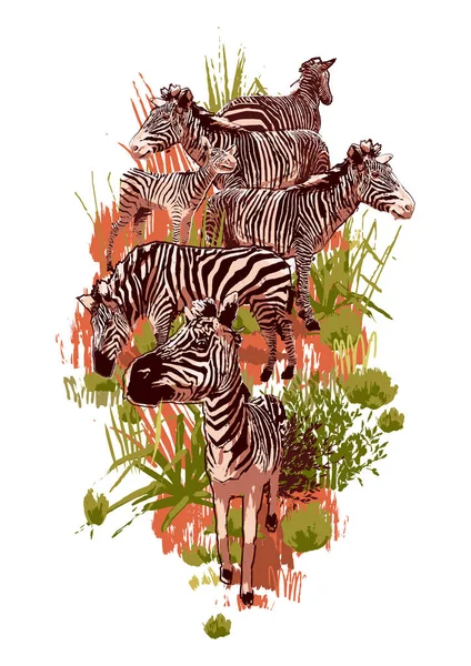 The herd of zebras sowing in steppe landscape — Stock Vector