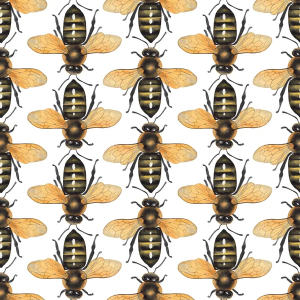 Gerçekçi çizilmiş bal arılarının suluboya dikişsiz deseni