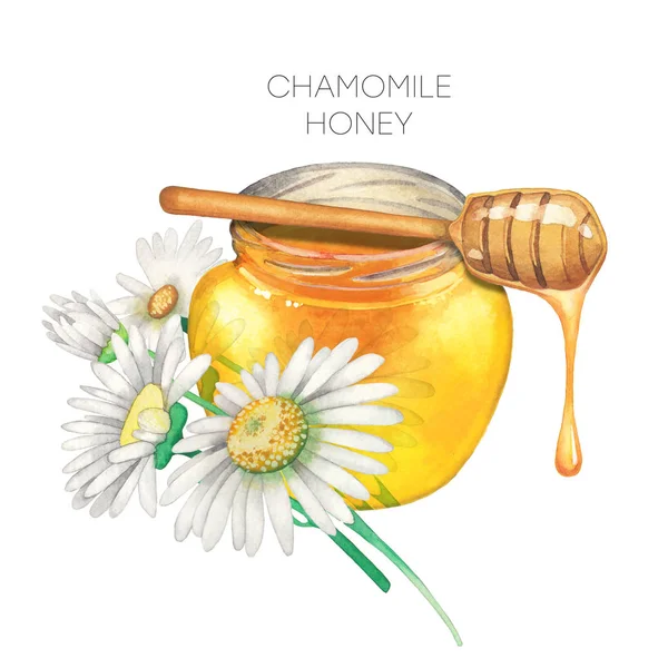 Μπουκάλι μέλι Υδατογραφημένο με λουλούδια χαμομηλιού — Φωτογραφία Αρχείου