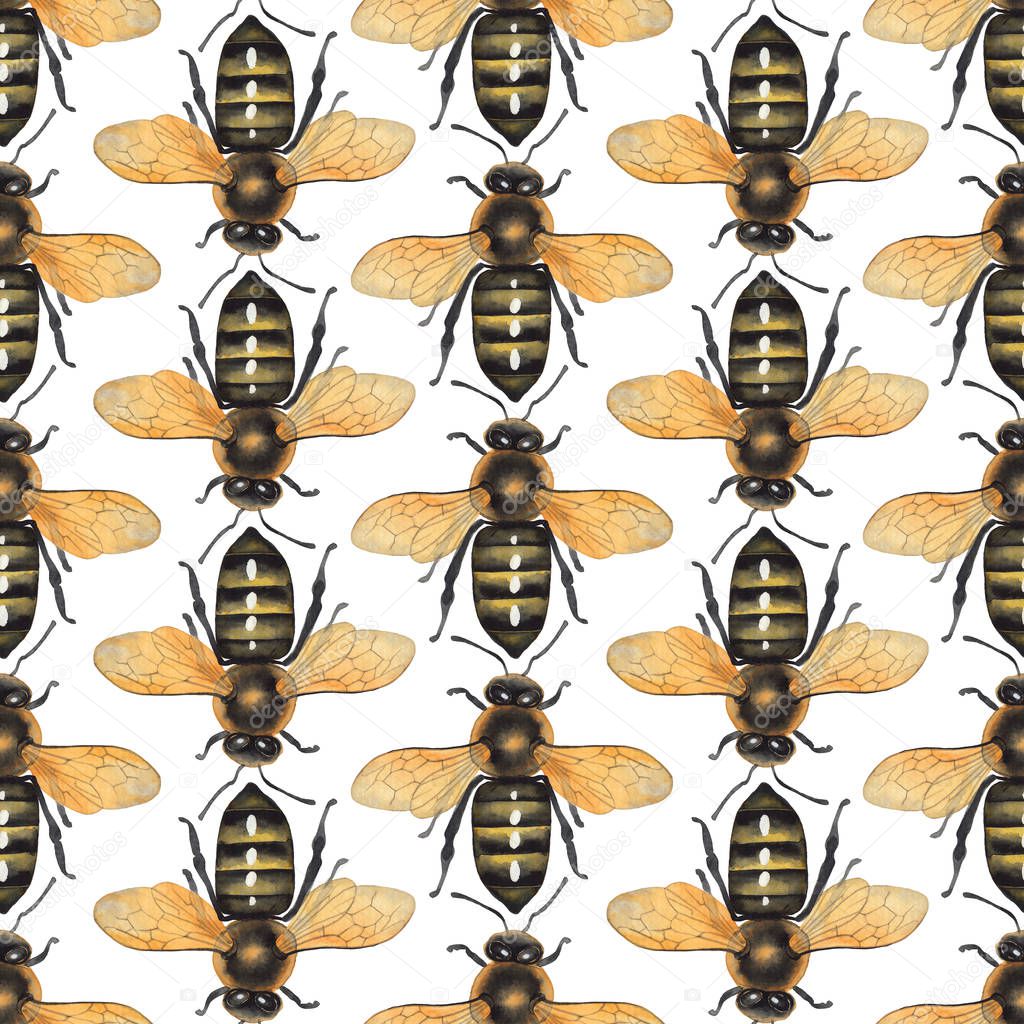 Watercolor seamless pattern of realistic drawn honey bees