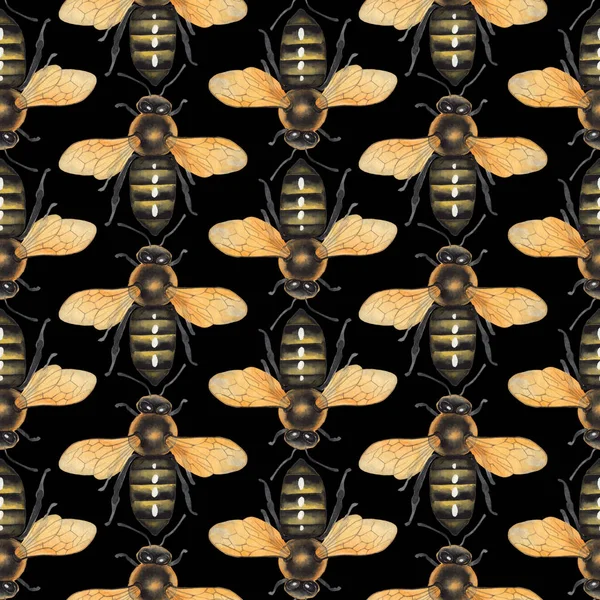 Watercolor seamless pattern of realistic drawn honey bees — Stock Photo, Image