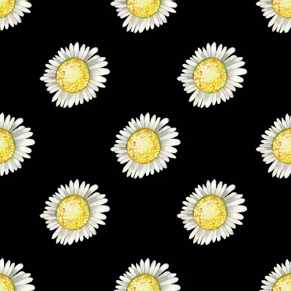 Acuarela repetida patrón sin costura de flores de manzanilla — Foto de Stock