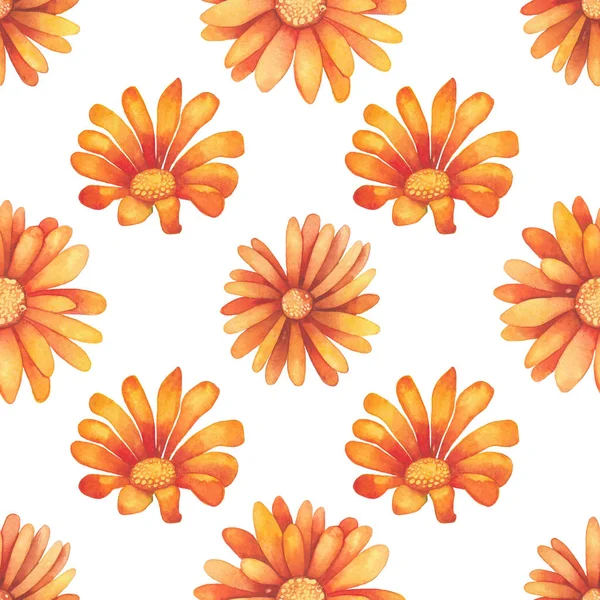 Aquarell nahtloses Muster wilder Wiesenblumen — Stockfoto