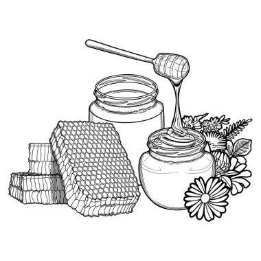 Petekler, çayır çiçekleri ve arılarla çevrili grafik bal şişeleri