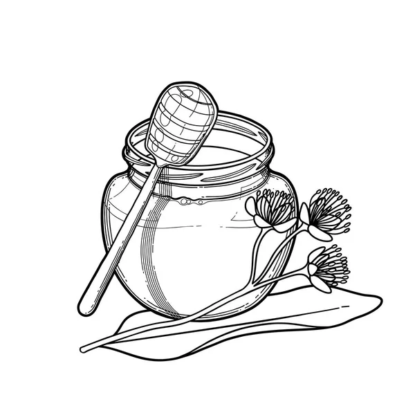 린든 꽃으로 장식 된 그래픽 꿀 병 — 스톡 벡터