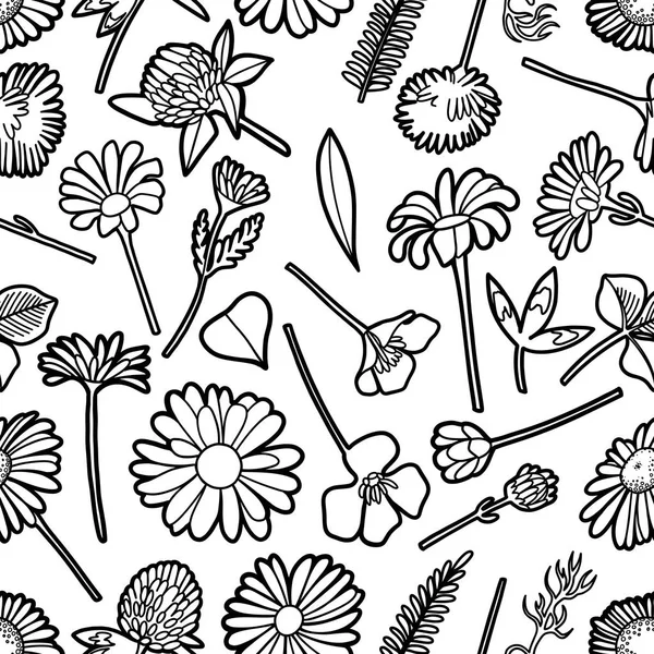 野生の牧草地の花のグラフィックシームレスなパターン — ストックベクタ