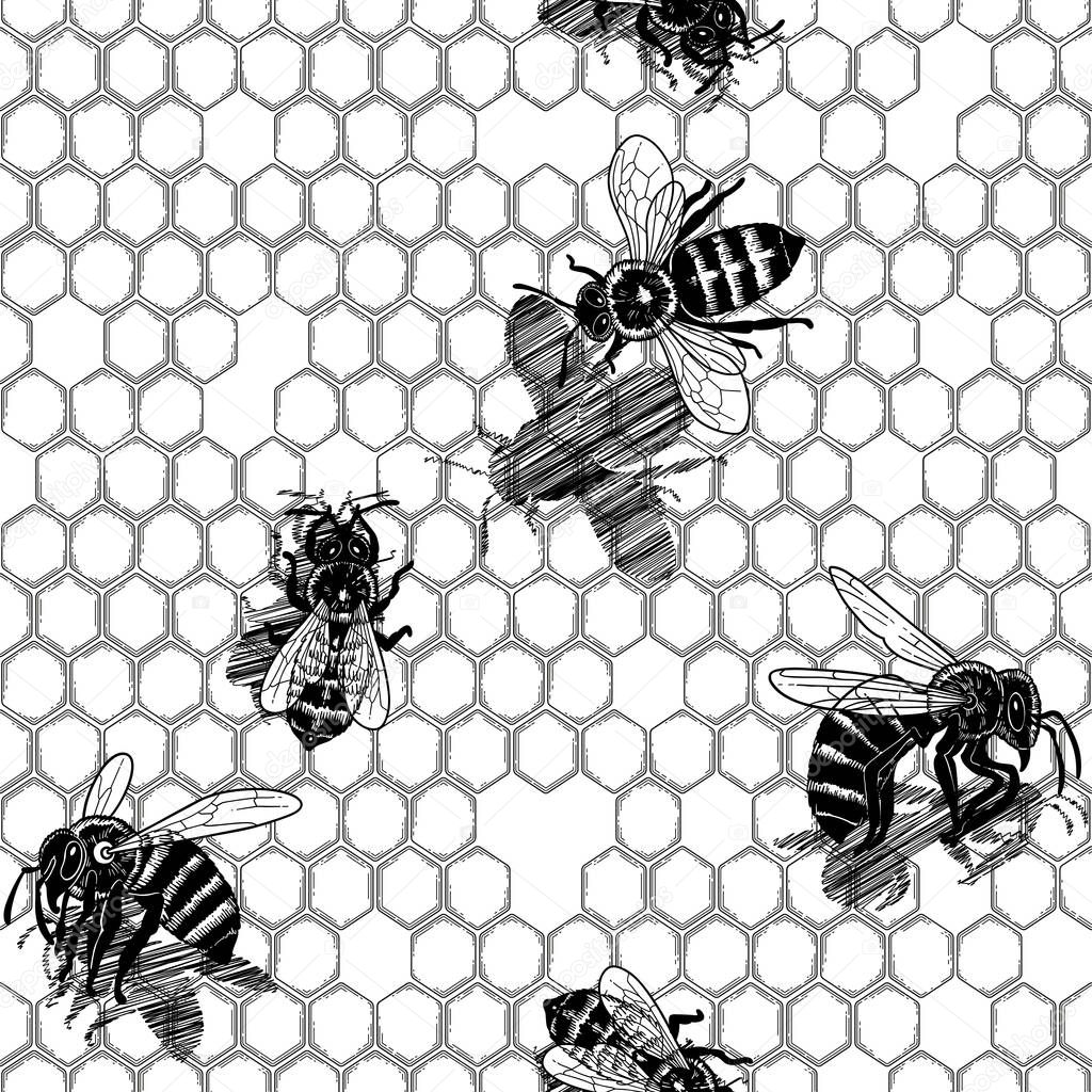 Graphic seamless pattern of bees crawling on honeycomb