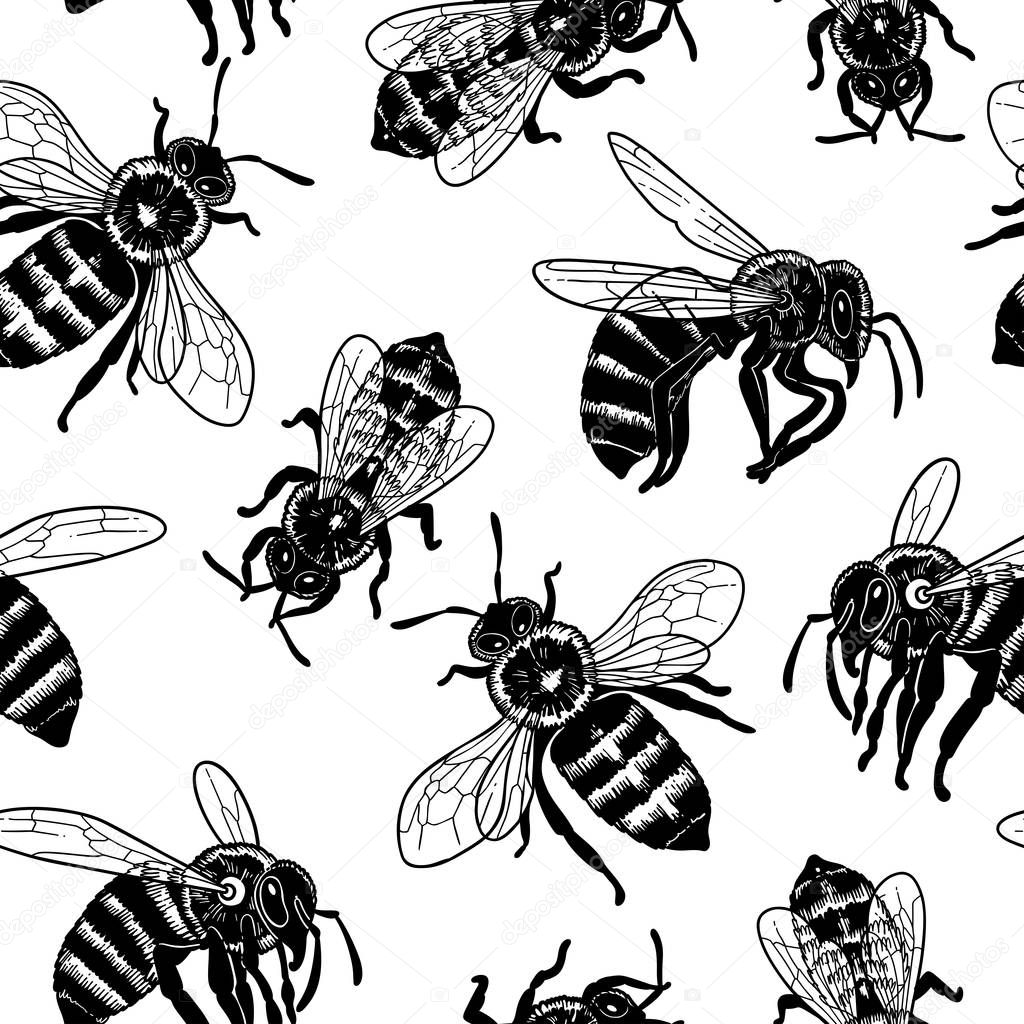 Graphic seamless pattern of realistic drawn honey bees