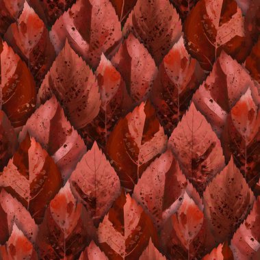 Sonbahar renklerinde egzotik yaprakların koleksiyonu.