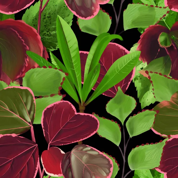 Kolekcja egzotycznych liści w kolorach czerwonym i zielonym. — Zdjęcie stockowe