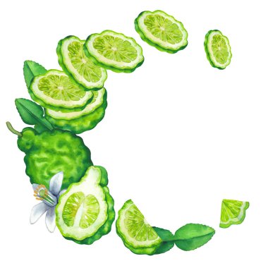 Beyaz arkaplanda suluboya bergamot çelengi izole edildi