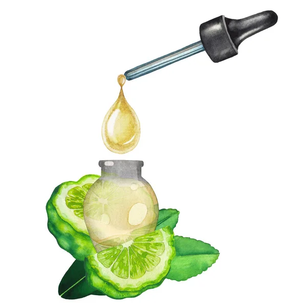 Gota de aceite de acuarela goteando del gotero en la pequeña botella de vidrio decorada con las frutas y hojas de bergamota — Foto de Stock