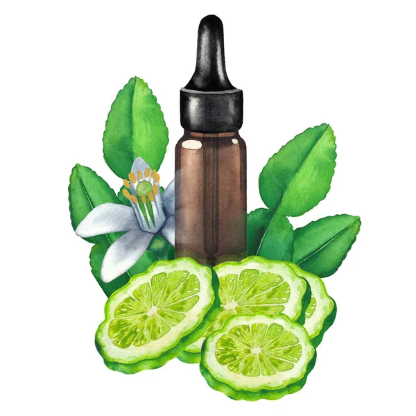 Watercolor oil bottle surrounded by bergamot fruits, leaves and flower — Stock Photo, Image