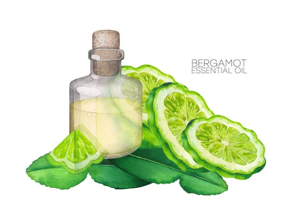 Waterverf olie fles omgeven door bergamot fruit en bladeren — Stockfoto