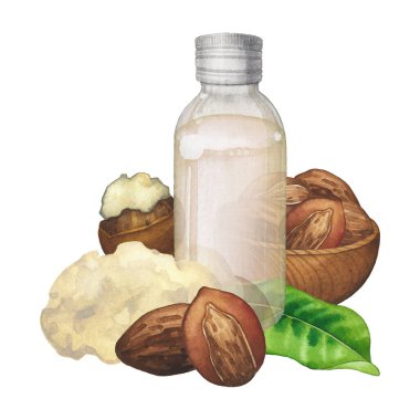 Shea bitkileri ve tereyağı ile çevrili suluboya yağ şişeleri
