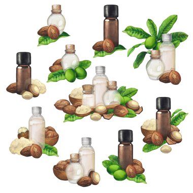 Beyaz arkaplanda izole edilmiş suluboya kılıf yağları koleksiyonu.