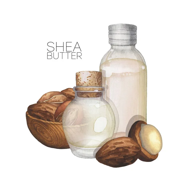 Butelki oleju akwarelowego otoczone roślinami Shea — Zdjęcie stockowe