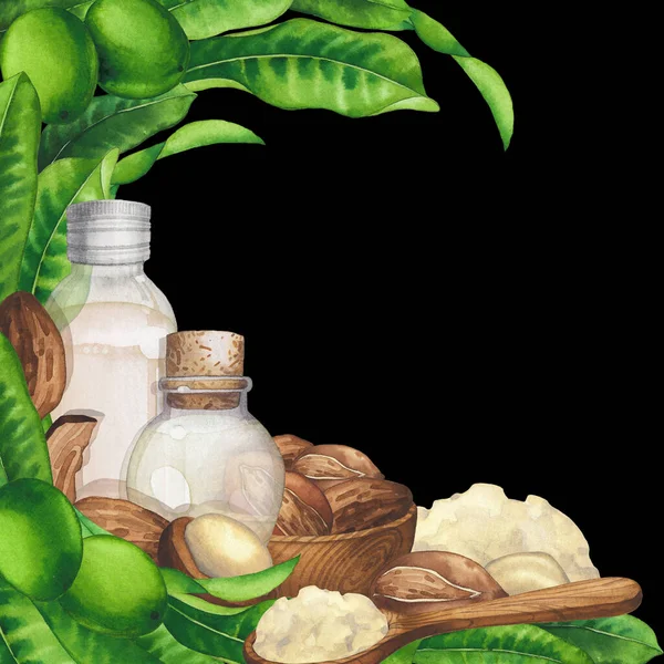 Aquarell-Ölflaschen umgeben von Sheapflanzen und Butter. — Stockfoto