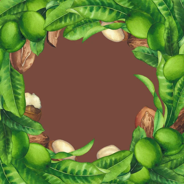 Waterverf shea noten en bladeren. Handgeschilderd ontwerp — Stockfoto