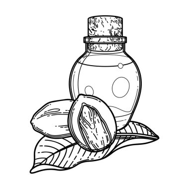 Shea bitkileriyle çevrili grafiksel yağ şişeleri