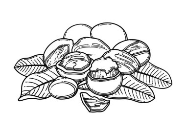 Yaprakların üzerinde bir sürü fındık var..