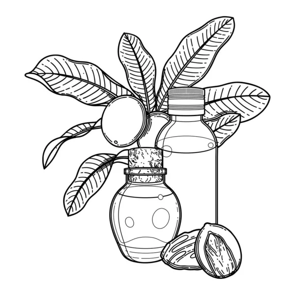 Bottiglie di olio grafico circondate da piante di karitè — Vettoriale Stock