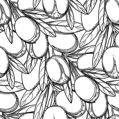 Grafik argan bitkilerinin kusursuz deseni. Vektör tasarımı