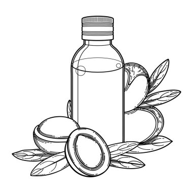 Argan bitkileriyle çevrili grafiksel yağ şişesi