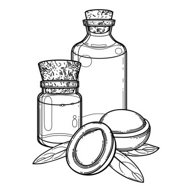 Argan bitkileriyle çevrili grafiksel yağ şişeleri