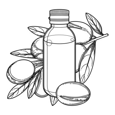 Argan bitkileriyle çevrili grafiksel yağ şişesi.