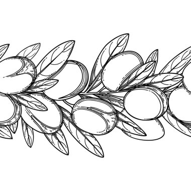 Grafiksel argan dalları, vektör tekrarlanan pürüzsüz sınır