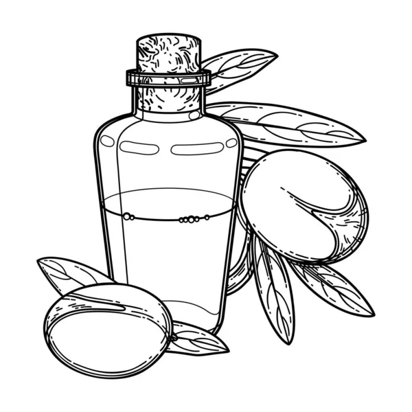 Graphische Ölflasche umgeben von Arganpflanzen — Stockvektor