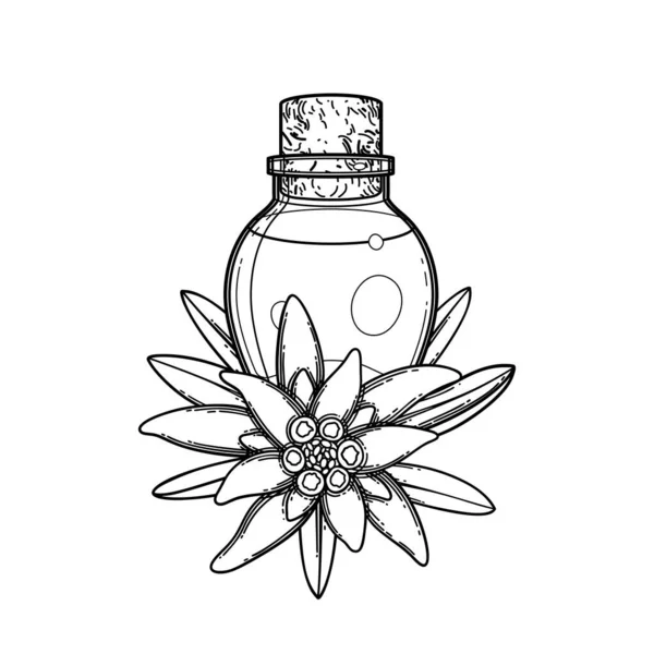 Edelweiss yaprakları ve çiçeklerle süslenmiş, gerekli grafiksel yağ şişesi — Stok Vektör