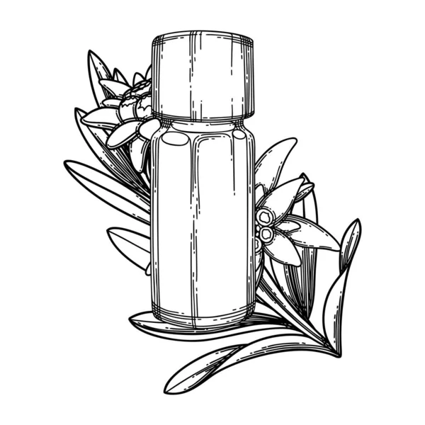 Grafisk eterisk olja flaska dekorerad med edelweiss blad och blommor — Stock vektor