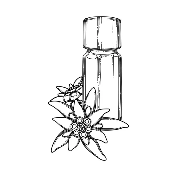 Botella gráfica de aceite esencial decorada con hojas y flores de edelweiss — Archivo Imágenes Vectoriales