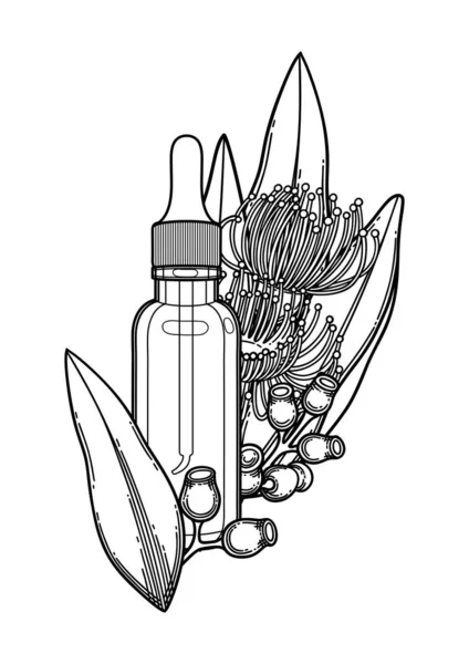 Bouteille graphique d'huile essentielle décorée de feuilles et fleurs d'eucalyptus — Image vectorielle