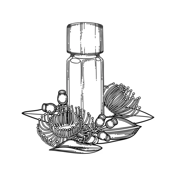 Grafische essentiële olie fles versierd met eucalyptus bladeren en bloemen — Stockvector