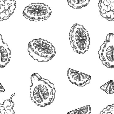 Grafik bergamot meyvelerinin kusursuz deseni. Vektör tasarımı