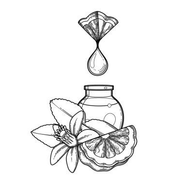 Üçgen bergamot diliminden küçük cam şişeye damlayan grafiksel yağ damlası.