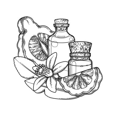 Bergamot meyveleri, yaprakları ve çiçeklerle çevrili grafiksel yağ şişeleri