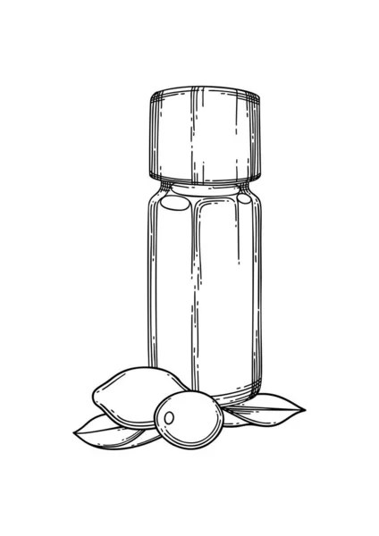 Graphic αιθέρια μπουκάλι λάδι διακοσμημένα με φύλλα goji και μούρα — Διανυσματικό Αρχείο