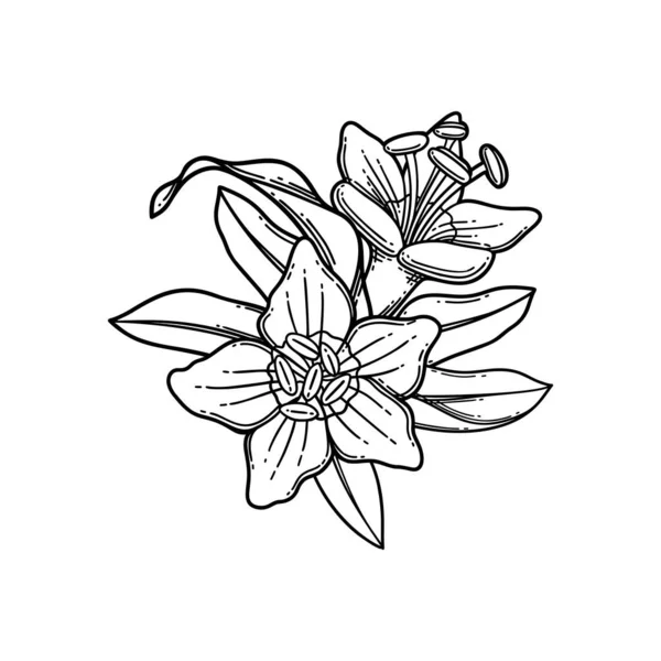 Grafisch vignet van goji bloemen en bladeren. — Stockvector